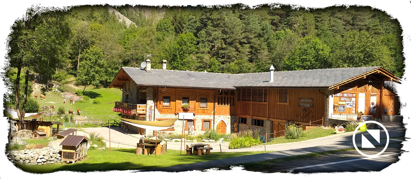 fattoria produzione formaggi in Valle d'Aosta